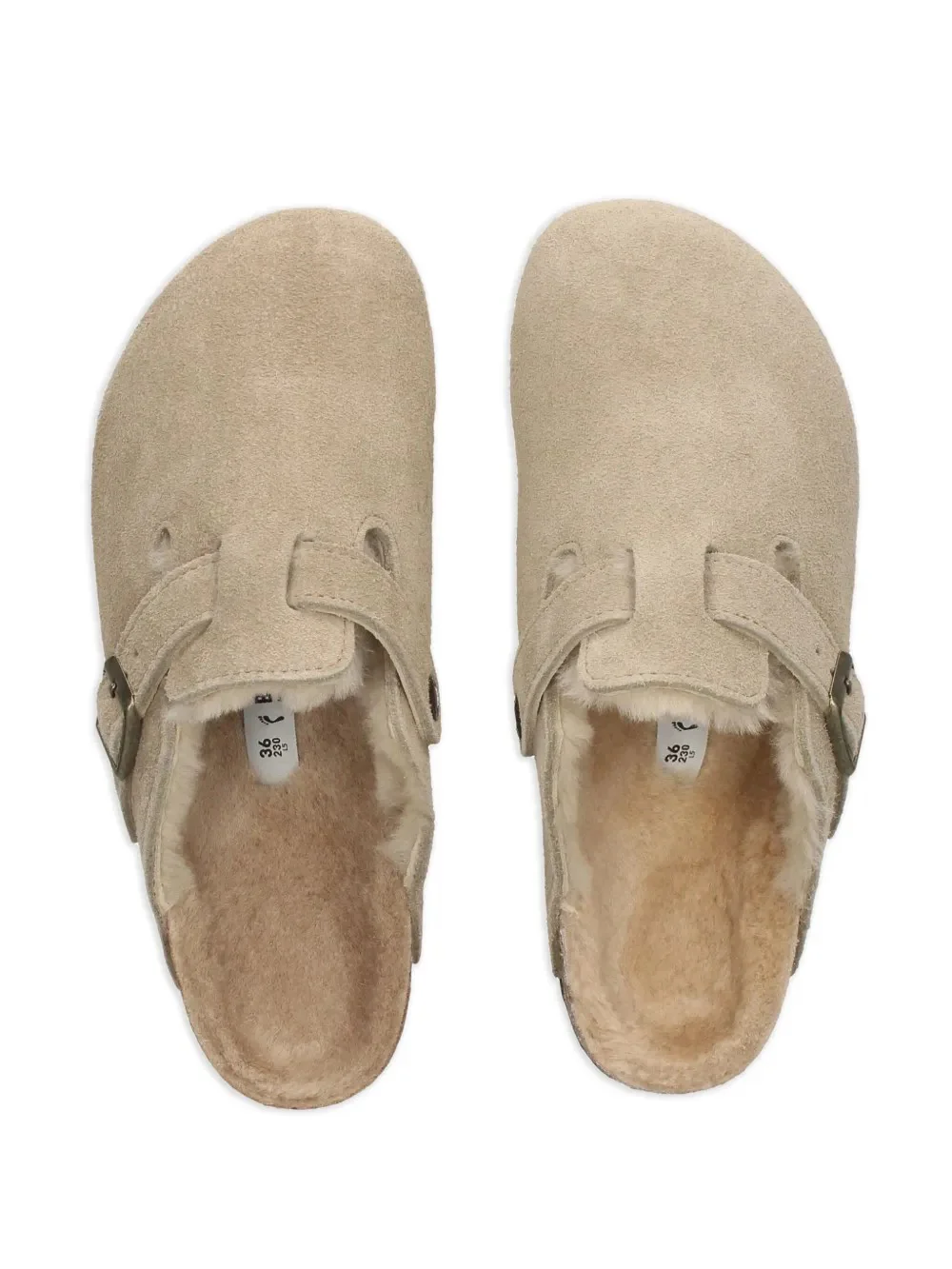 sabot boston - Image 3