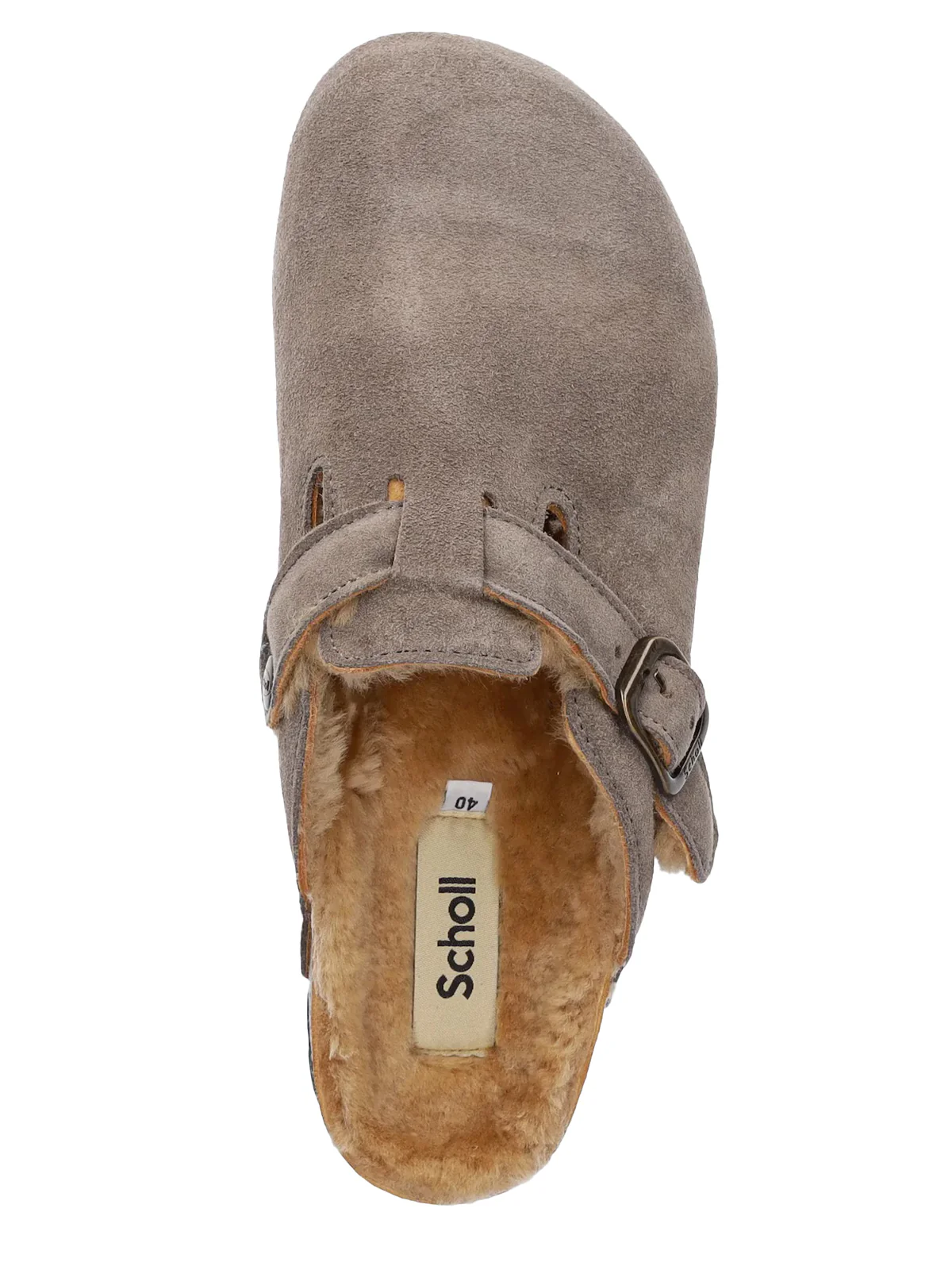 sabot scholl - Image 4