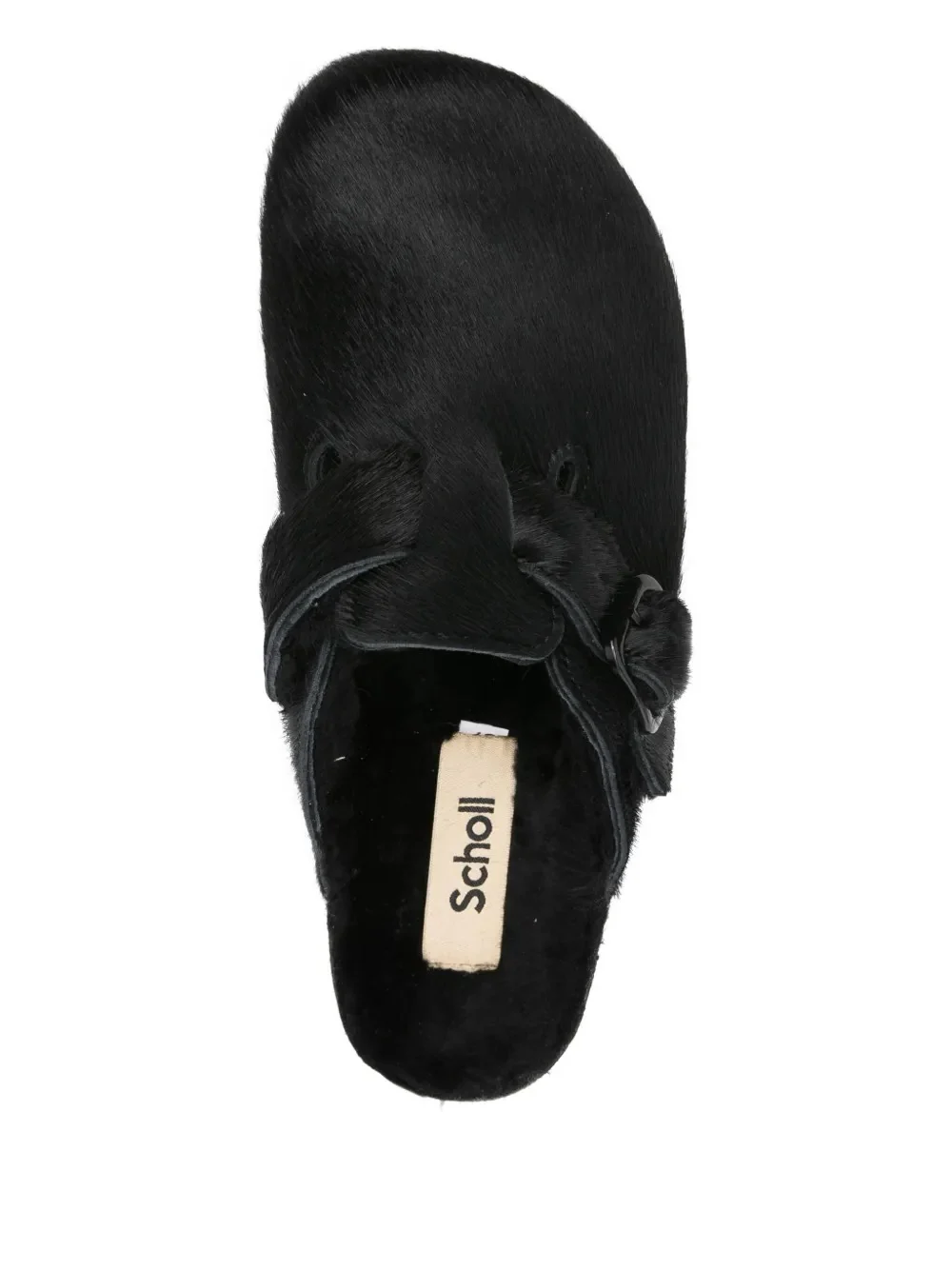 sabot scholl - Image 2